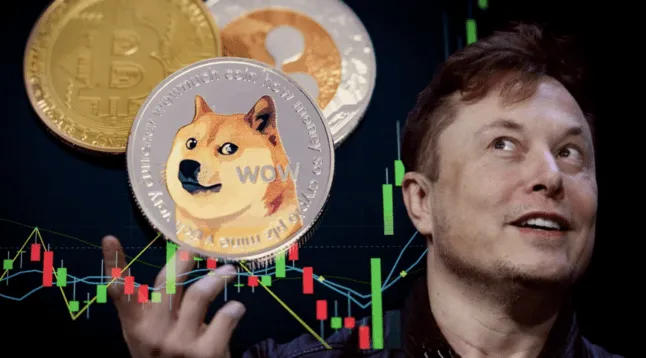 Crypto Analist: Top 3 Elon Musk Crypto Memes In November – Investeren Voor 2025?