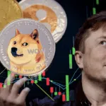 Crypto Analist: Top 3 Elon Musk Crypto Memes In November – Investeren Voor 2025?