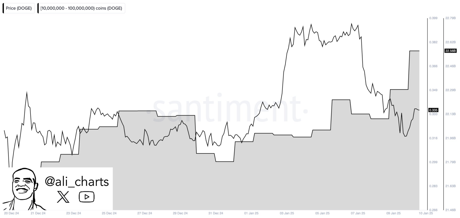 Whales Buy  Billion in XRP and Dogecoin Within 48 Hours