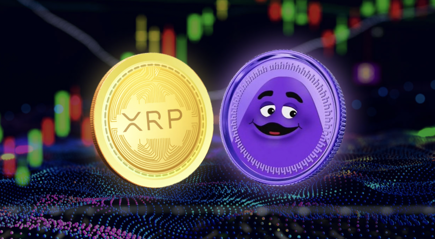 XRP Koers Verwachting: Kan Ripple 10 Euro Worden Na XRP ETF Goedkeuring? -  Newsbit