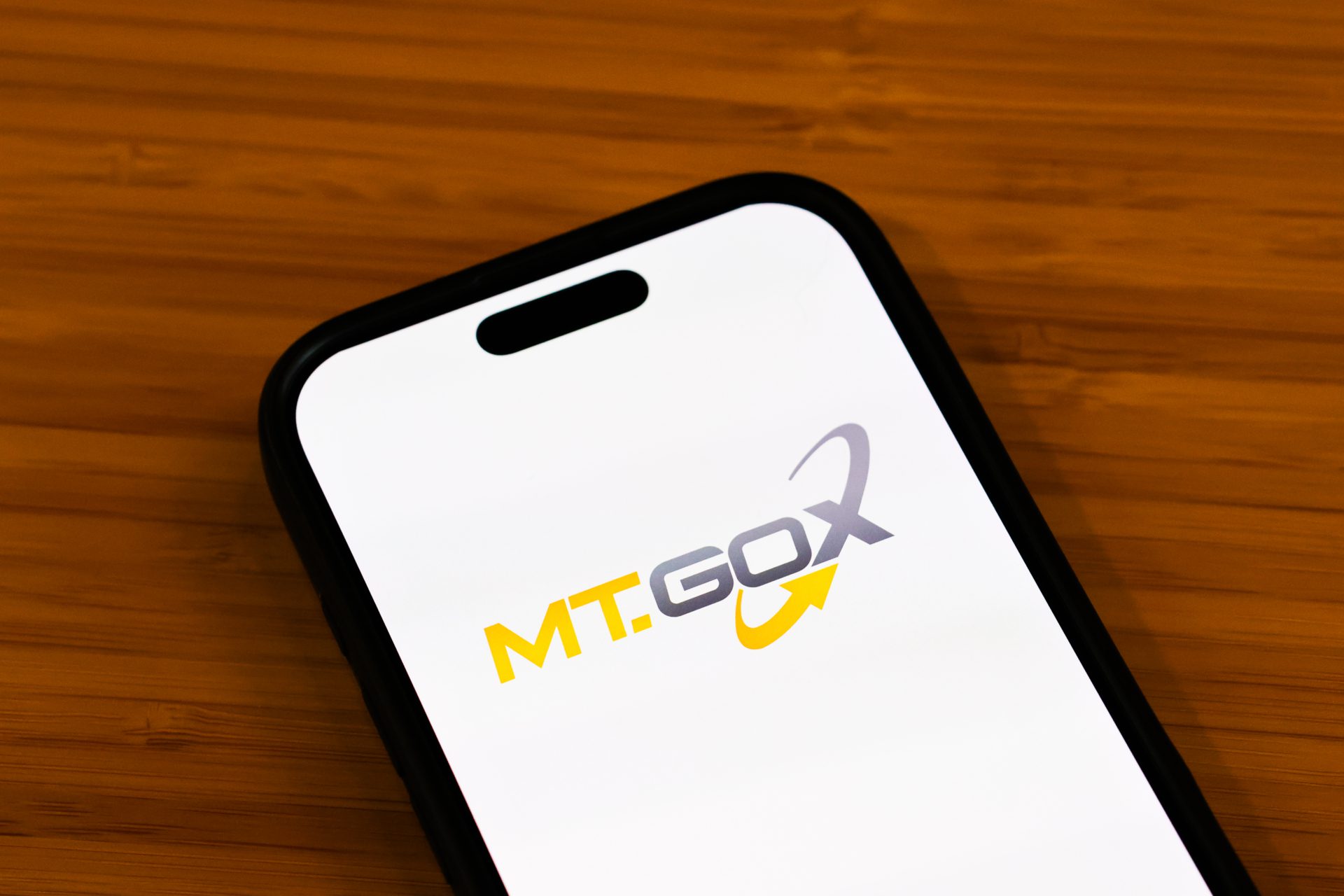 Mt. Gox