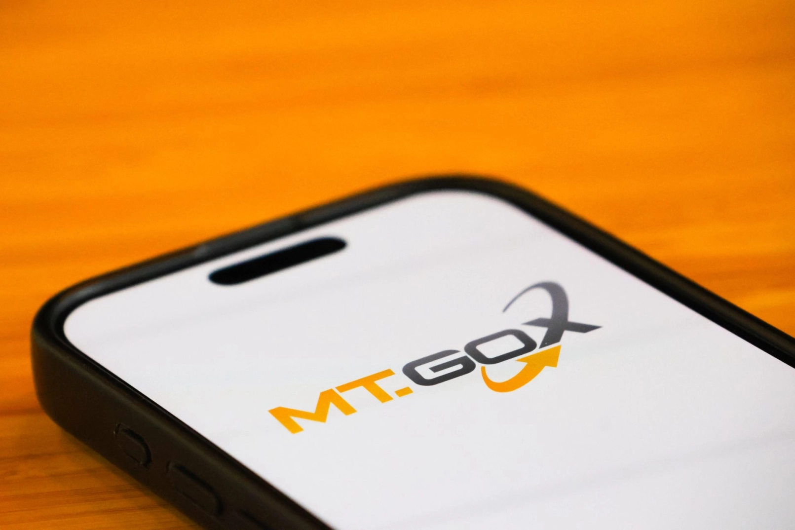 Mt. Gox