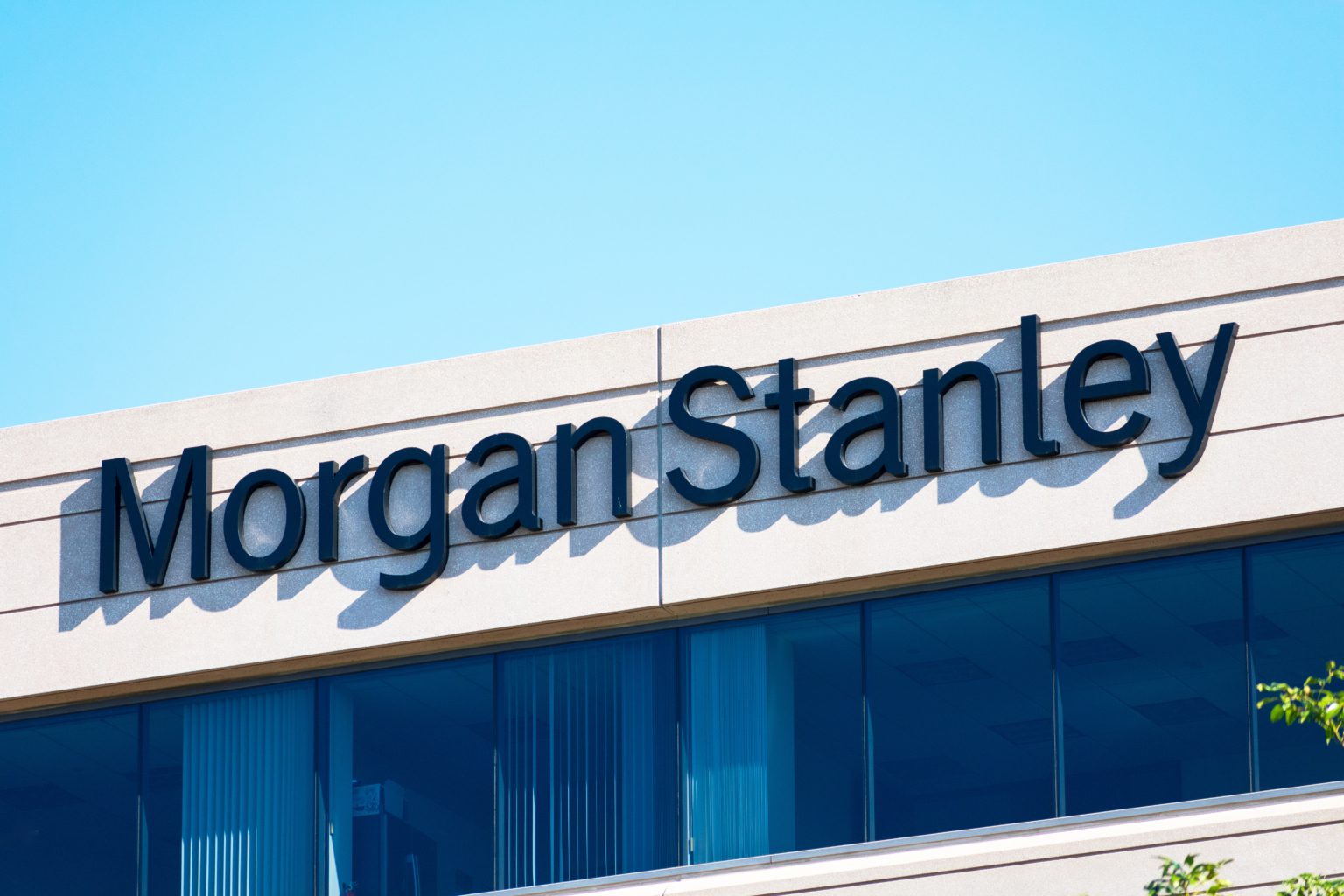 Morgan stanley