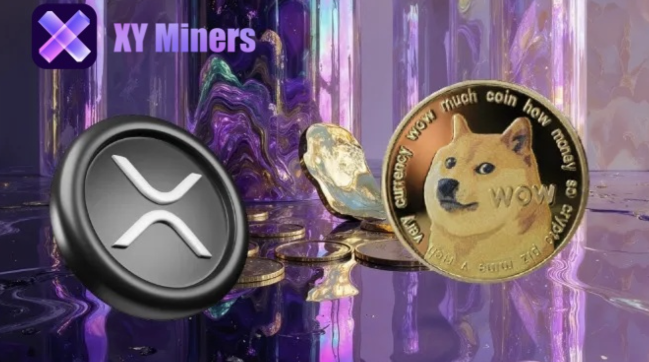 xy miners