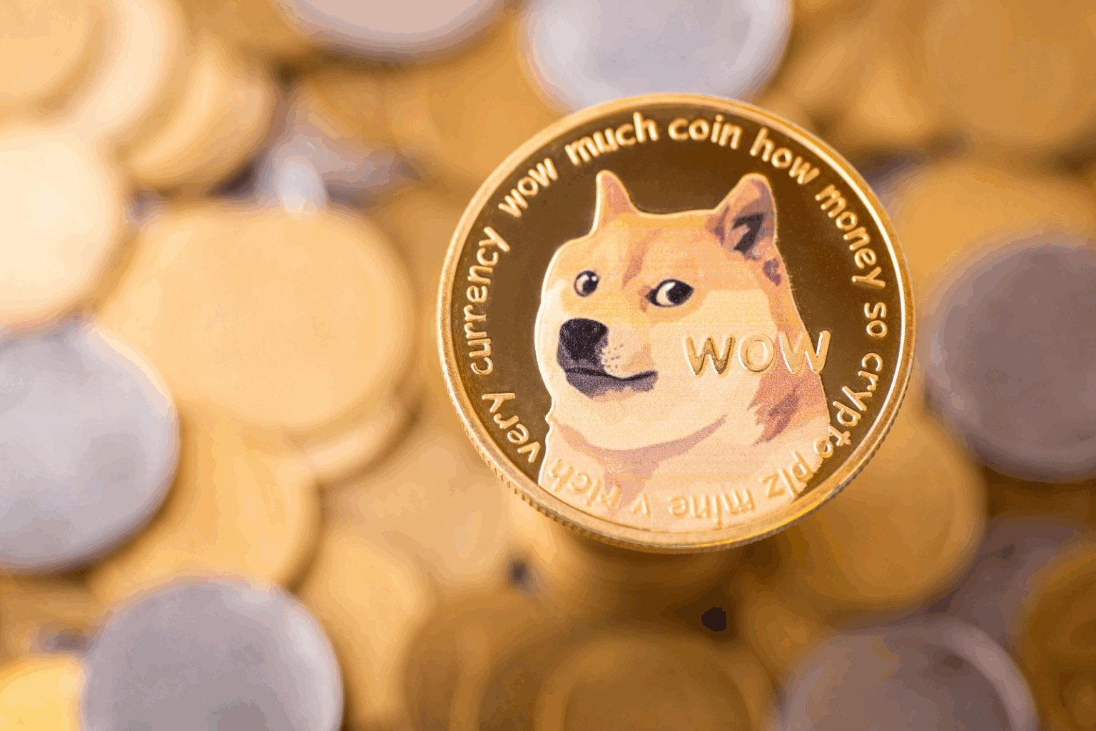 Doge PR