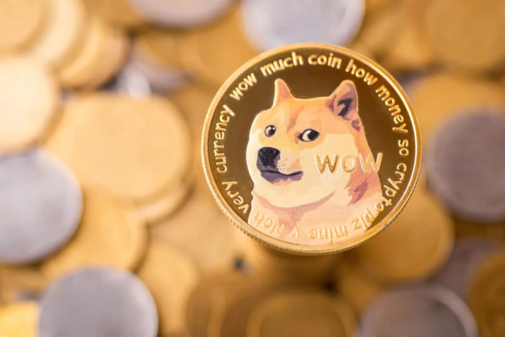 Doge PR