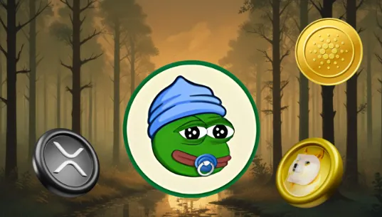 Topcrypto’s om te kopen voor de bullrun van 2025: deze 3 munten hebben XRP, Cardano en Dogecoin vervangen