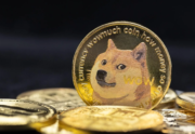 DOGE en SHIB kelderen terwijl de aandacht verschuift naar privacycoin – Wordt Digitap de grote mover in Q4?