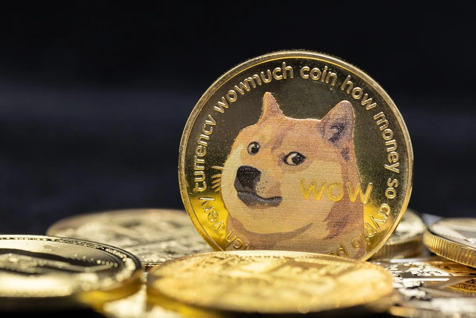 Digitap Doge