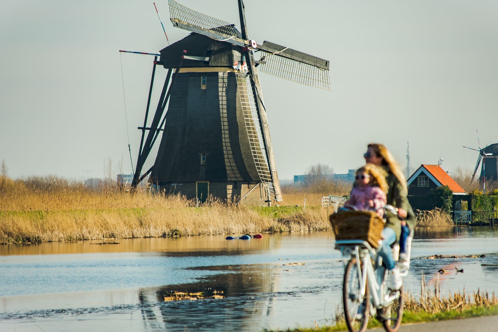nederlanders