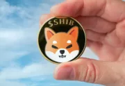 Crypto-händler prognostiziert: Der Kurs von Shiba Inu könnte um 3600% steigen