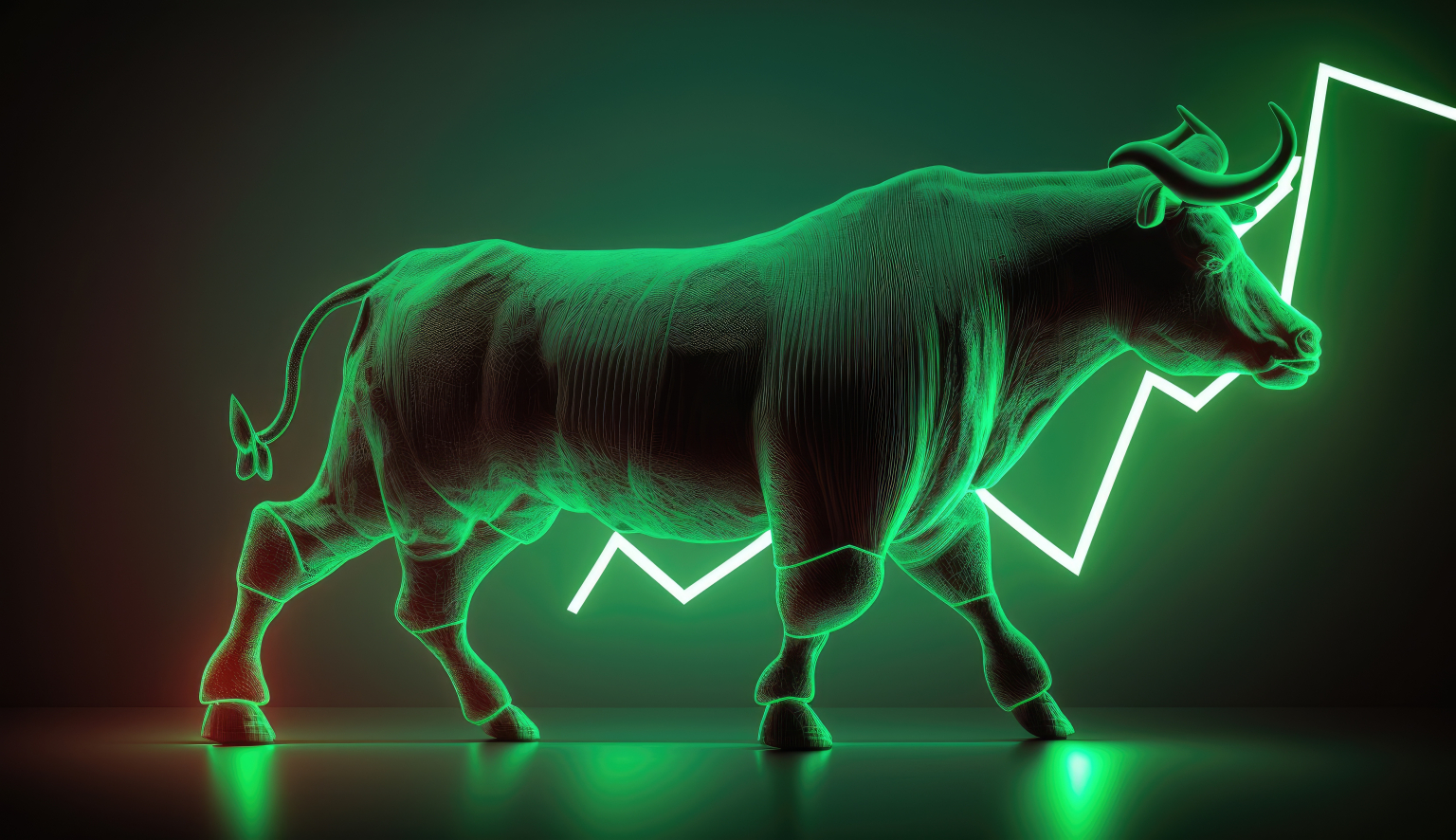 Bitcoin bull run