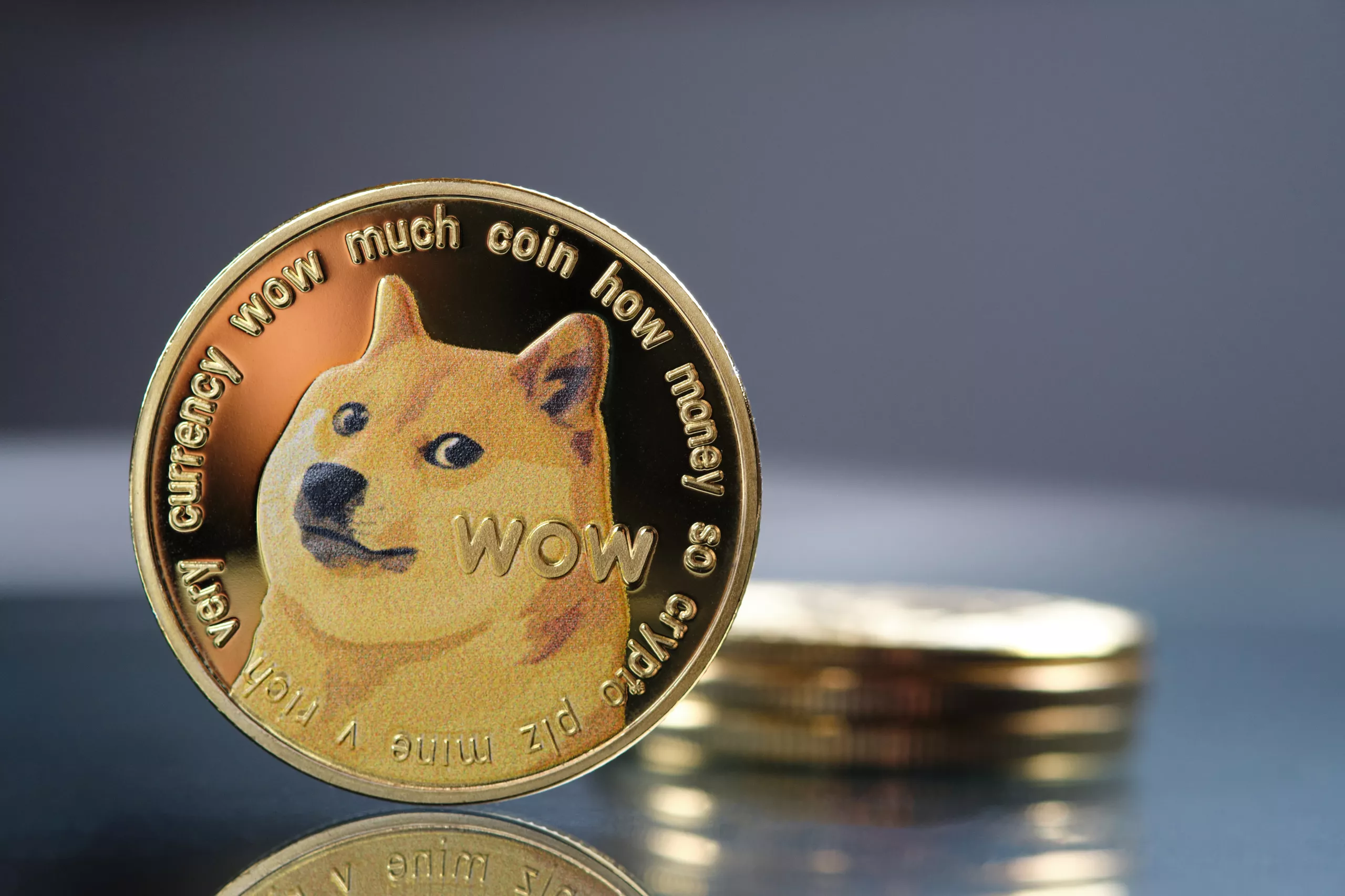 Golden dogecoin cryptocurrency