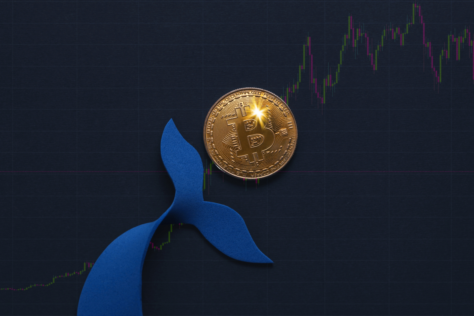 Bitcoin whale