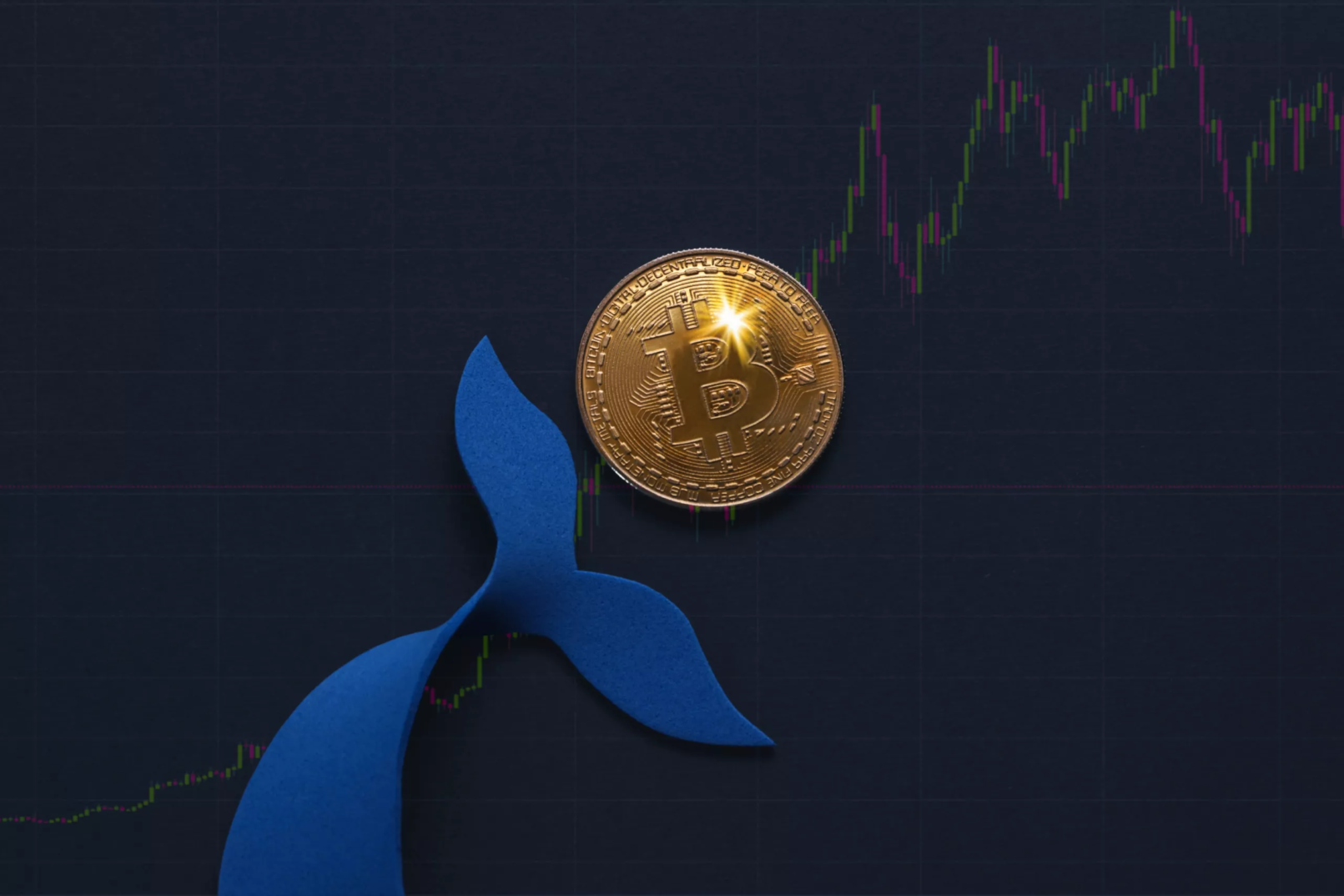 Bitcoin whale