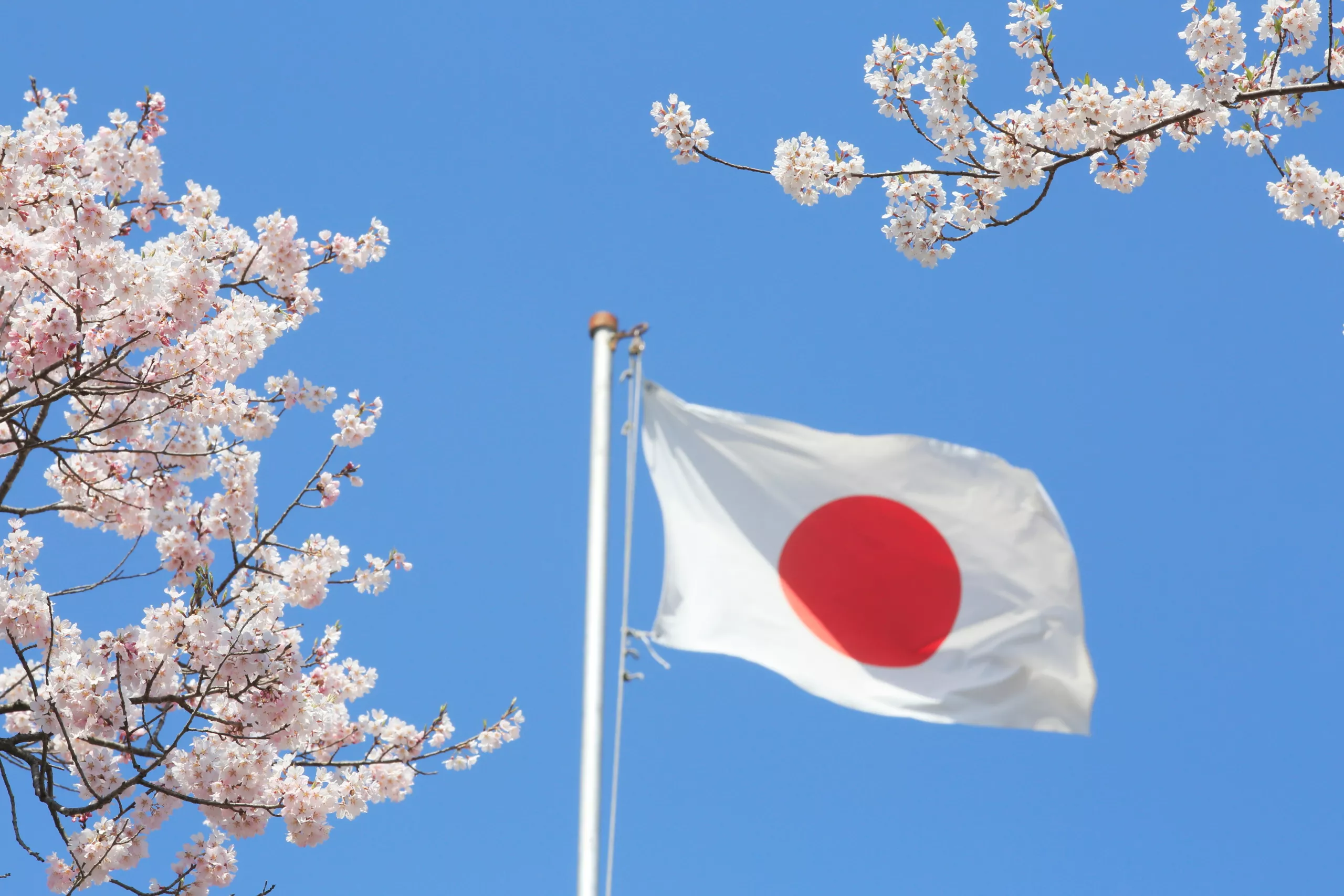 Japan Vlag
