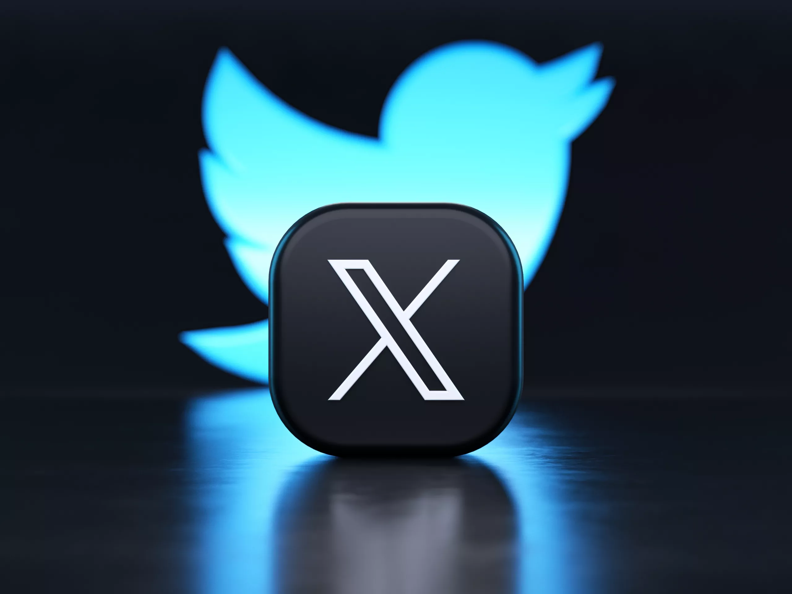 X App Logo