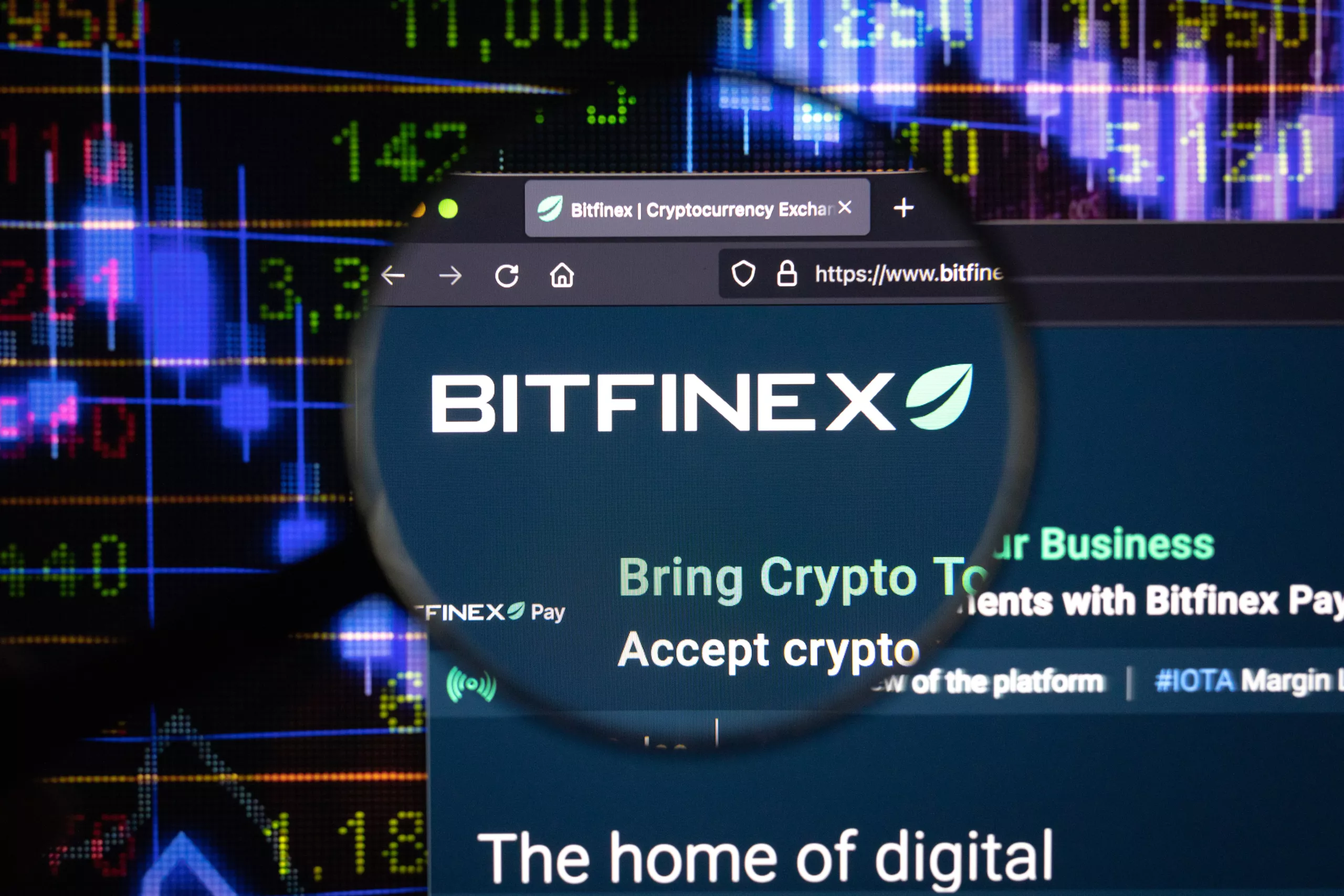 Bitfinex Logo