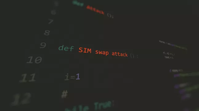 Bewohner von Florida zu Gefängnisstrafe verurteilt wegen Crypto-SIM-Swap-Betrug