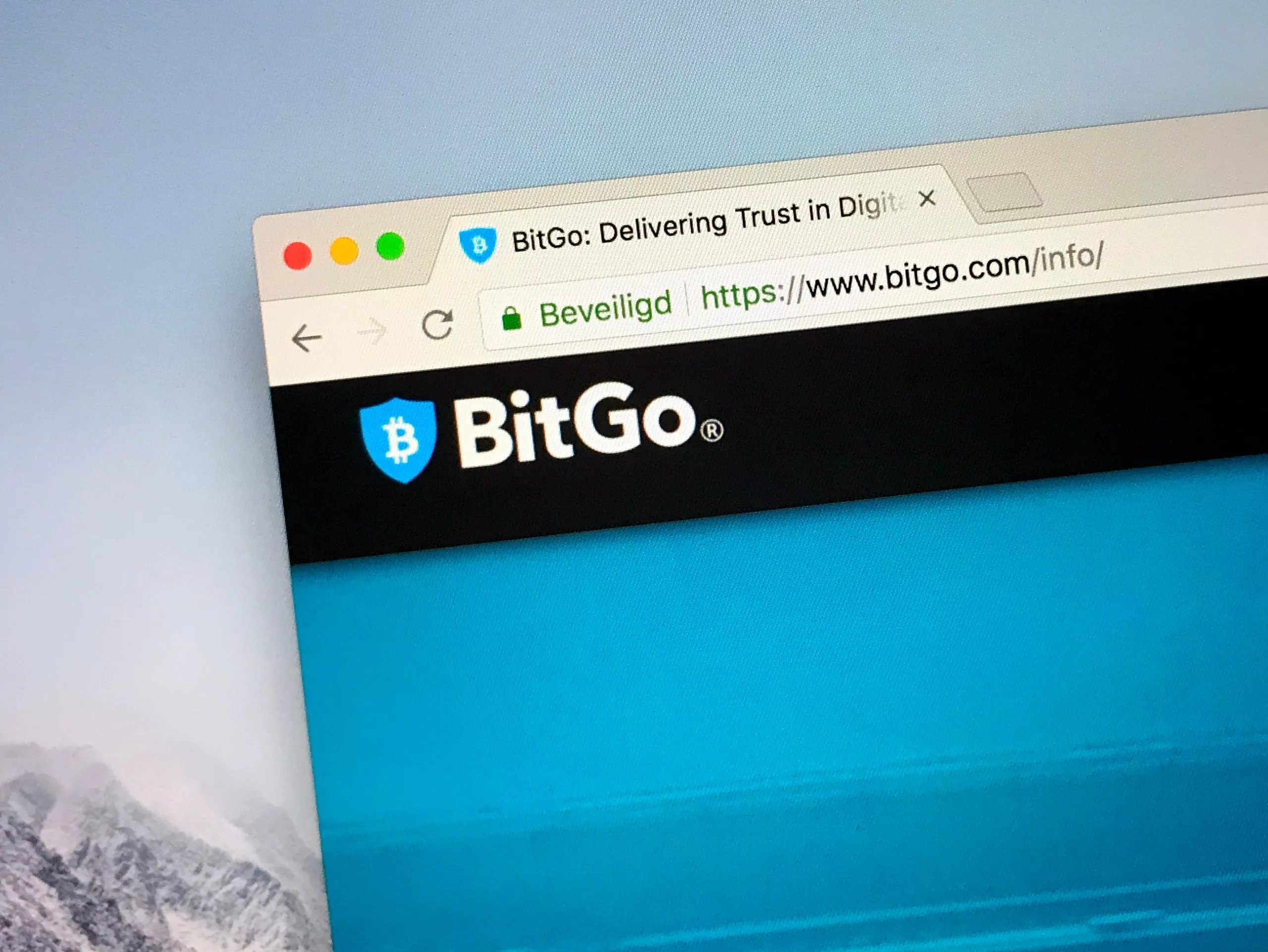 BitGo Website