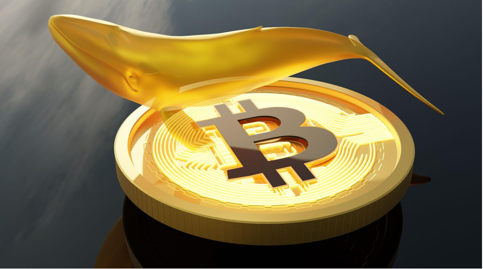 bitcoin whale goud