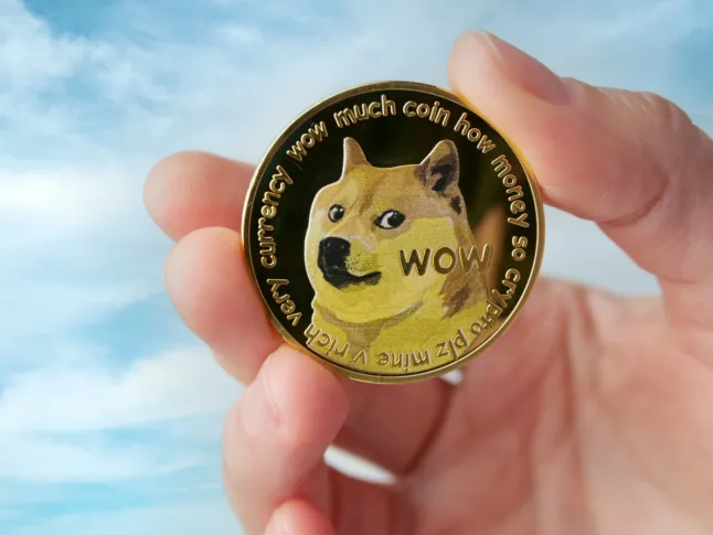 Dogecoin-Kurs steigt um 14 % dank massiver Whale-Aktivität