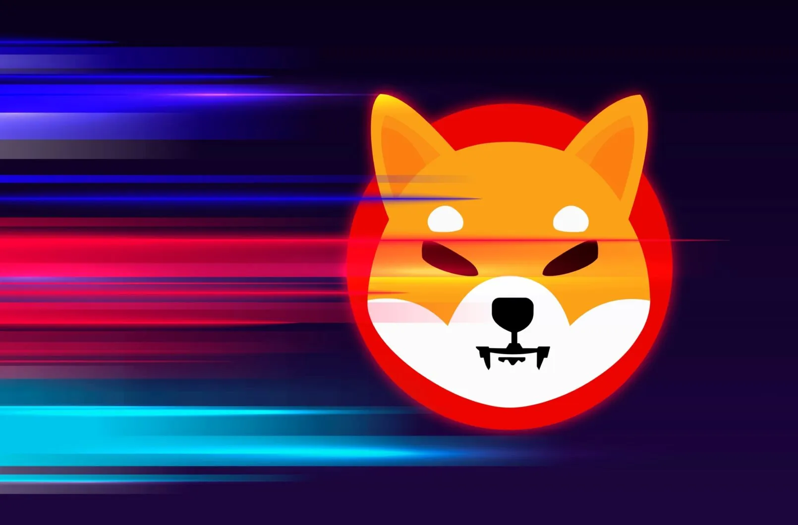 Shiba Inu wird Dogecoin im Jahr 2025 überholen, so ein Krypto-Experte