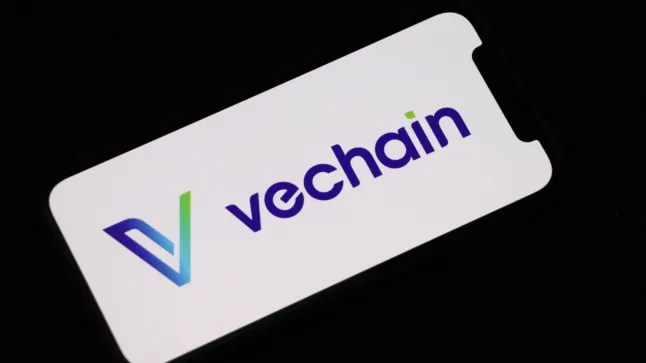 Experte erwartet einen enormen VeChain-Anstieg von 250 %