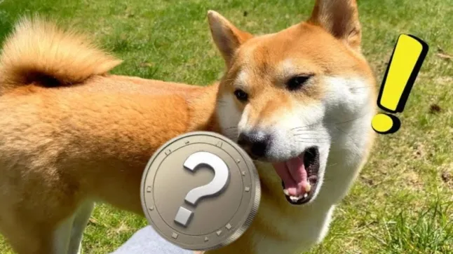 Vergiss DOGE und SHIB: Diese 5 Memecoins könnten 16.000 % Rendite liefern