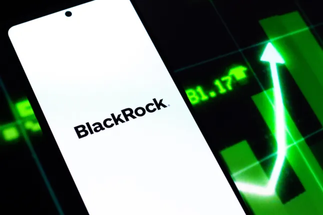 BlackRock sammelt in 12 Monaten 50 Milliarden Dollar in Bitcoin