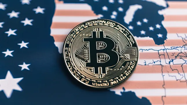 „Der Erfolg von Bitcoin-ETFs in den USA ist größtenteils eine Täuschung“