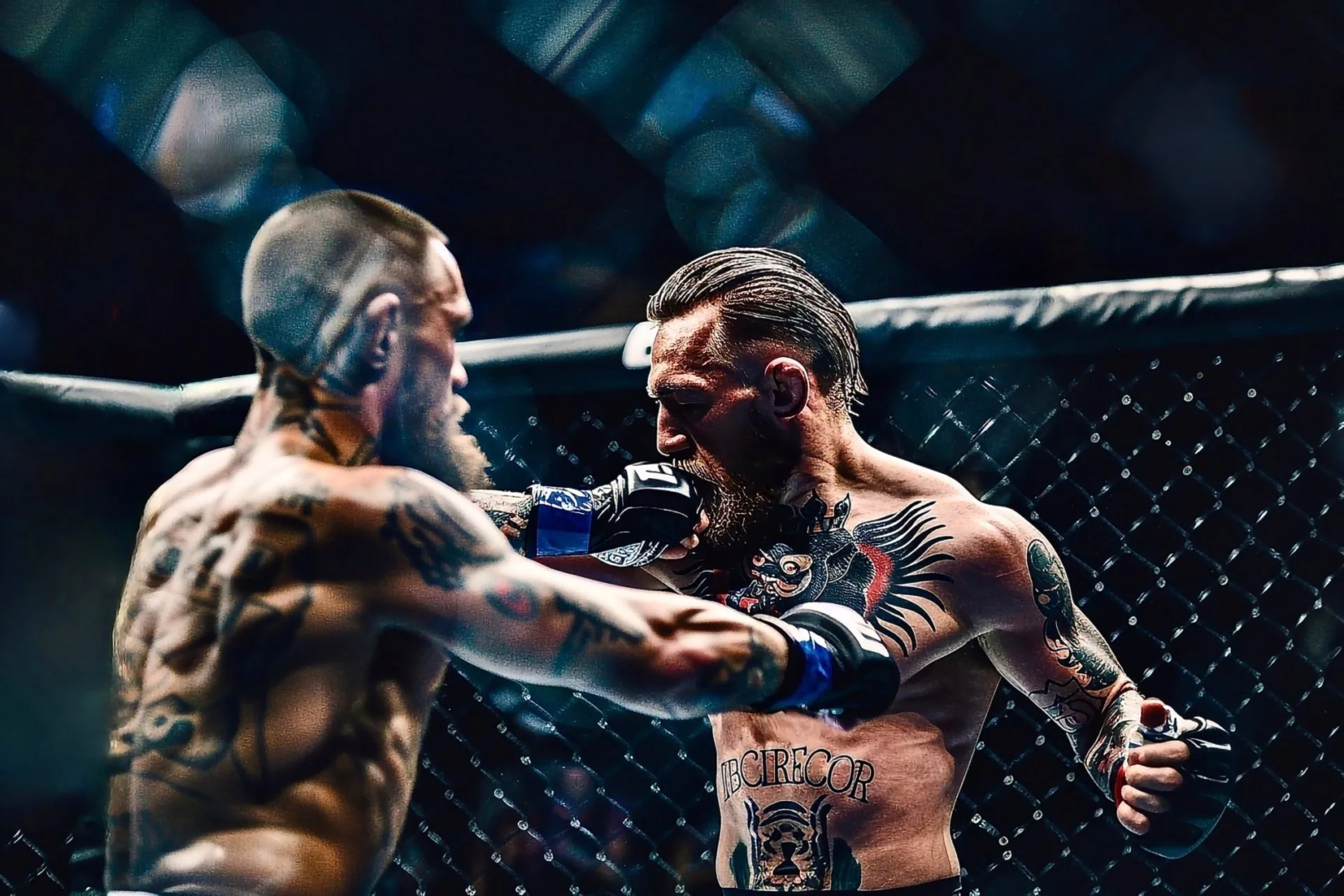 Krypto-Knockout: McGregors Memecoin scheitert noch vor dem Start