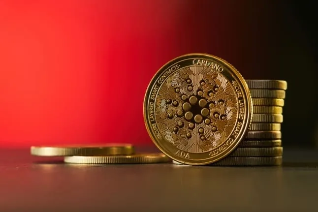 Wie tief kann der Cardano Kurs fallen, wenn Langzeitinvestoren verkaufen?