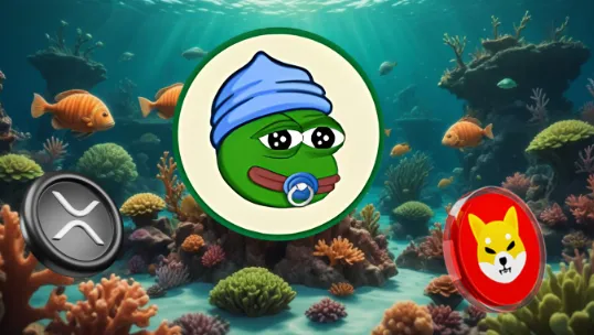 In 2017 wurden 800 $ zu 280.000 $ mit XRP; 2021 passierte es mit Shiba Inu – hier sollten Sie 2025 hinschauen