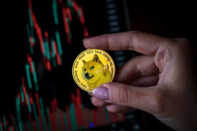 Amerikanisches Börsenunternehmen setzt Dogecoin auf Bilanz, aber Aktie stürzt ab