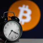 Krypto-Update: Bitcoin-Kurs steigt um 5 % und Nvidia erzielt Rekordumsatz