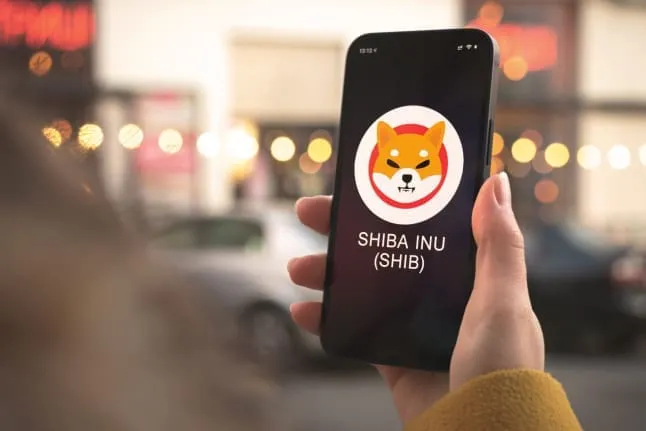 10.000 neue Wallets in drei Tagen: Warum Anleger wieder auf Shiba Inu setzen