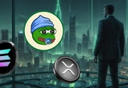 Nachdem XRP im Jahr 2017 und Solana im Jahr 2021 durchstarteten: Welche Kryptowährung könnte als Nächstes aus 1.000 US-Dollar 100.000 US-Dollar machen?