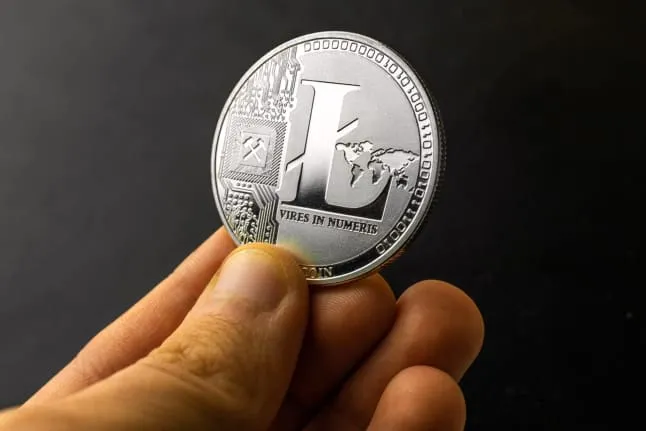 Litecoin-Kurs legt um 8 Prozent zu, während der übrige Kryptomarkt fällt