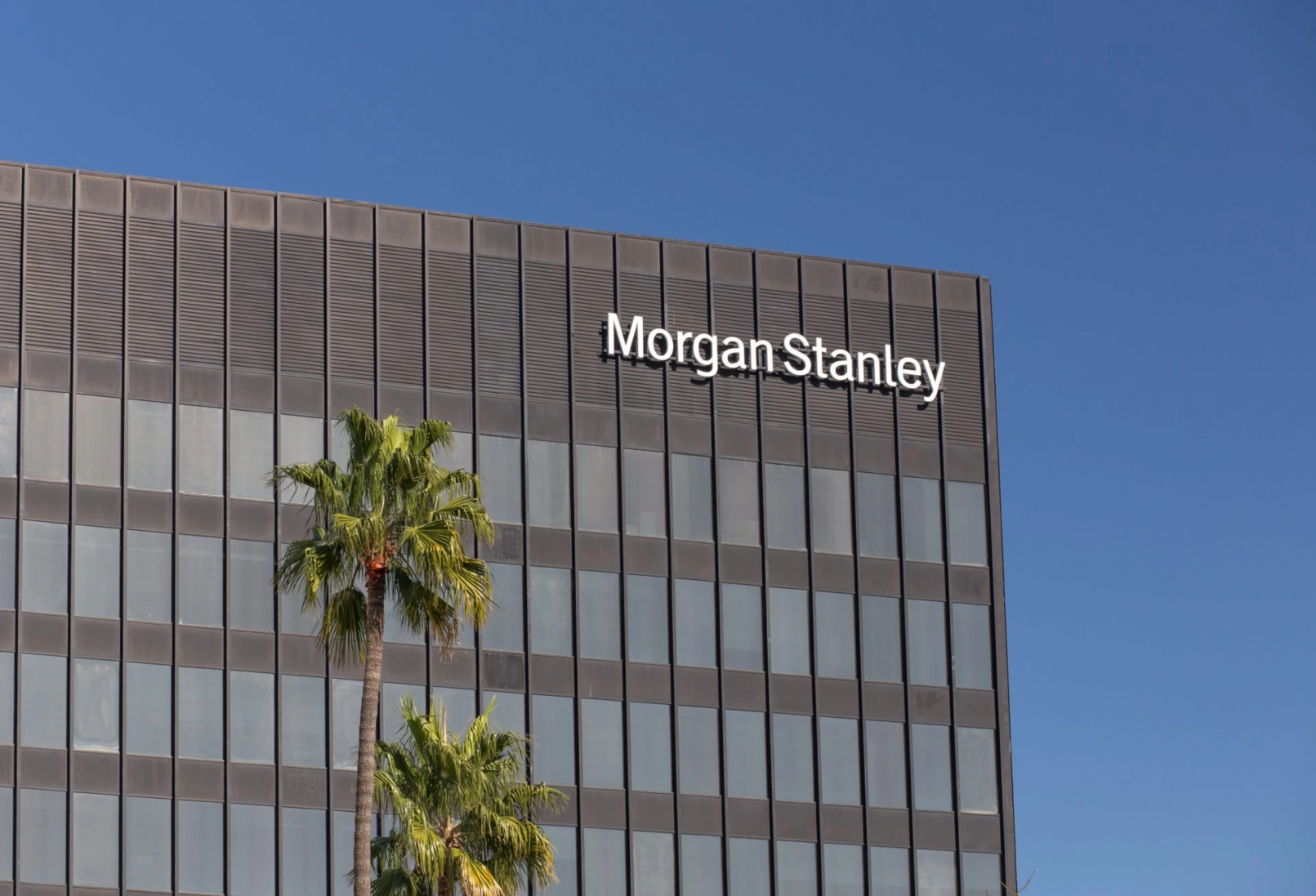 Bitcoin, or numérique ? Morgan Stanley voit de l’avenir pour la crypto