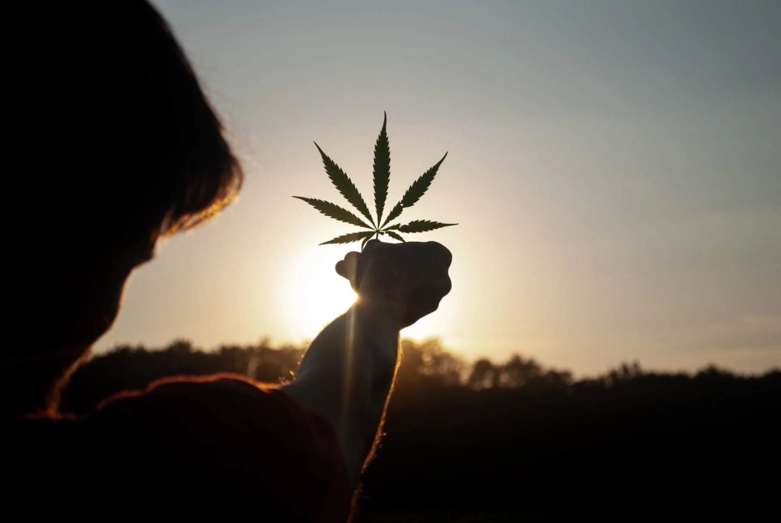 Une entreprise de cannabis offre des récompenses en Bitcoin, des critiques soulignent des risques d'addiction