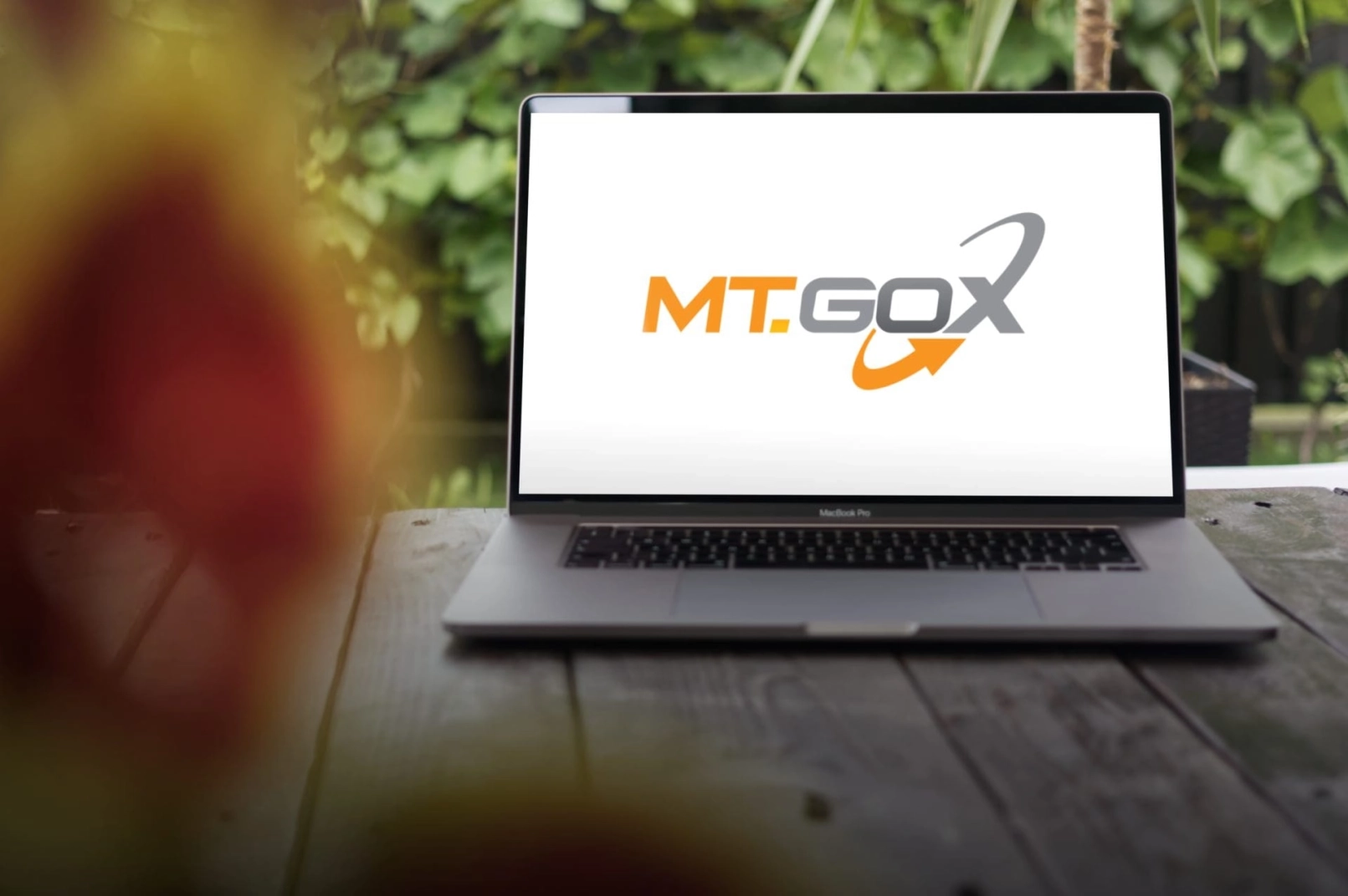 Mt. Gox