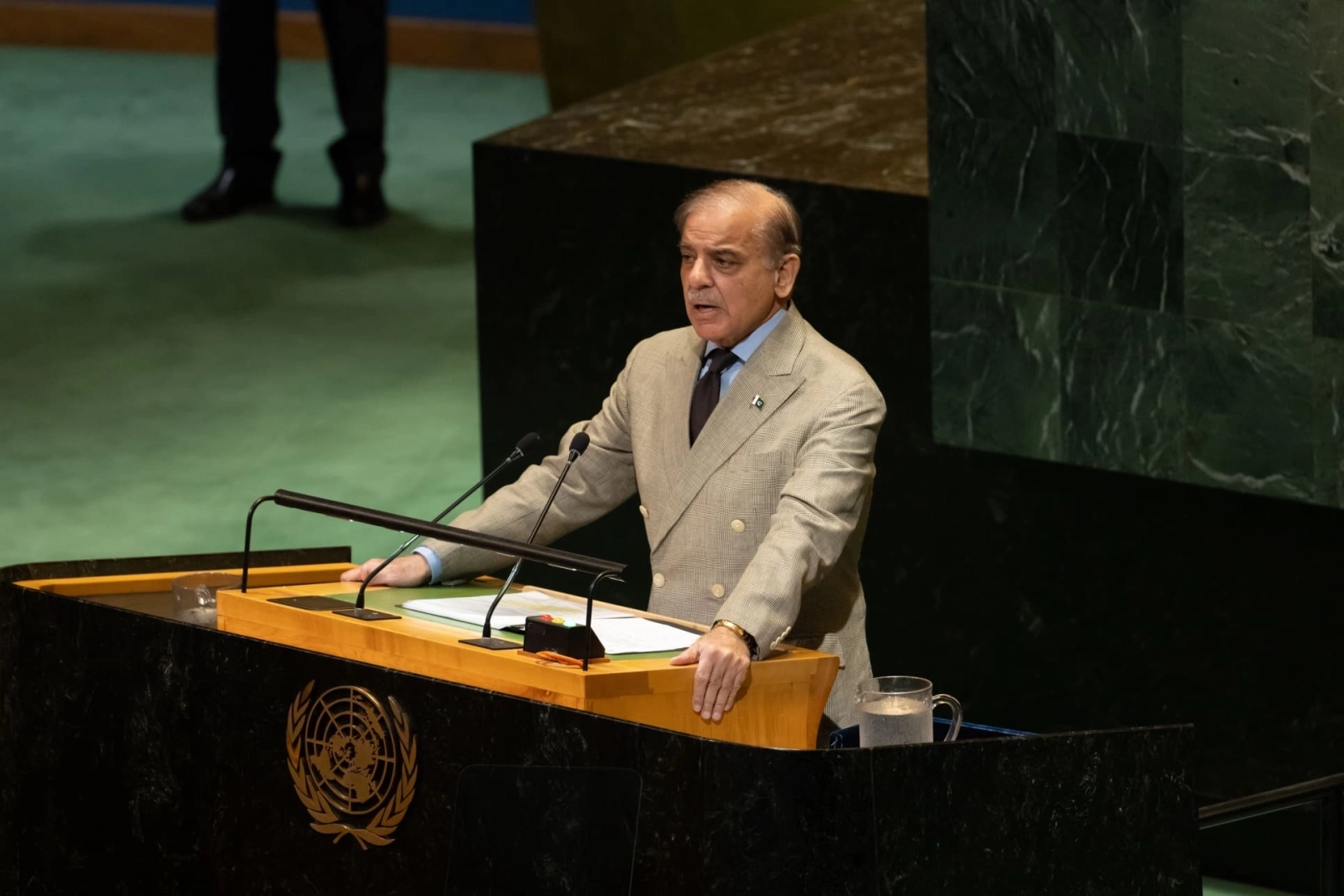 Shehbaz Sharif, Pakistan