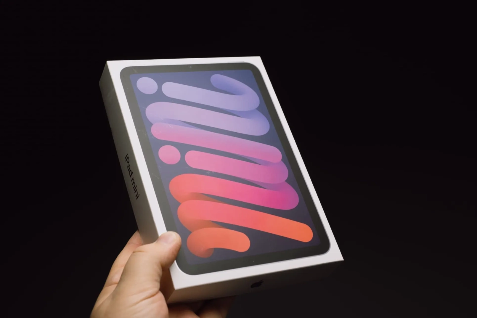 iPad Apple