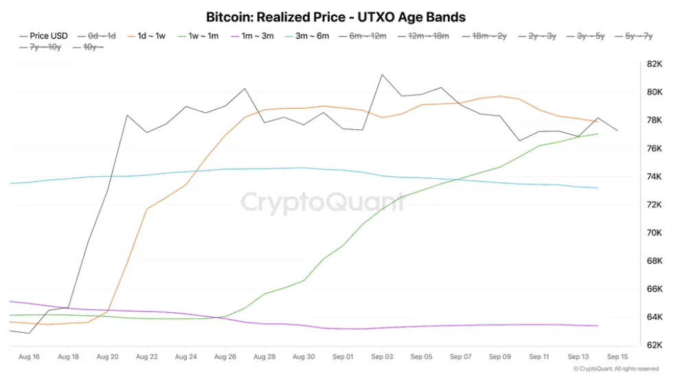 El precio medio de compra de bitcoin por grupo de antigüedad.